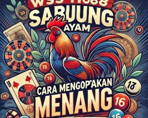 WS168 Sabung Ayam: Cara Mengoptimalkan Peluang Menang dalam Taruhan